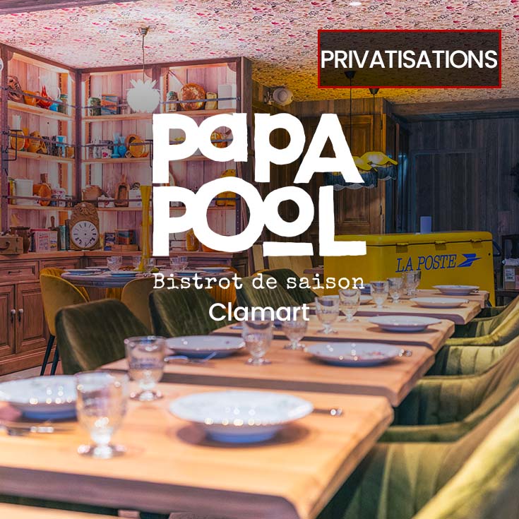 Privatisez Papa Pool